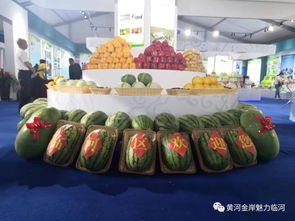 临河24家企业代表参加第三届内蒙古绿色农畜产品 巴彦淖尔 国际博览会