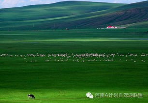 活动公告 ▏2017年暑期郑州 内蒙古草原环线 体验沙漠激情,畅享草原之美 7日精品自驾之旅