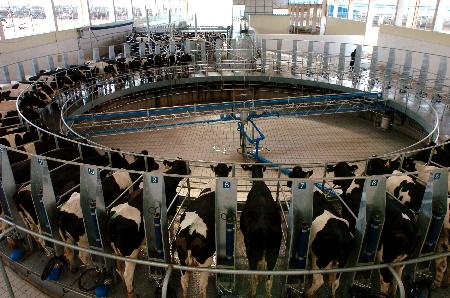 图文:[经济纵横](1)蒙牛乳业集团国际牧场建成运营